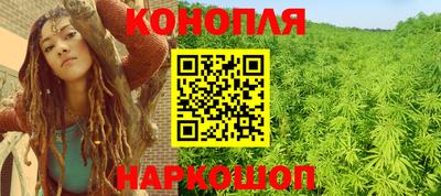 крисы Кандалакша