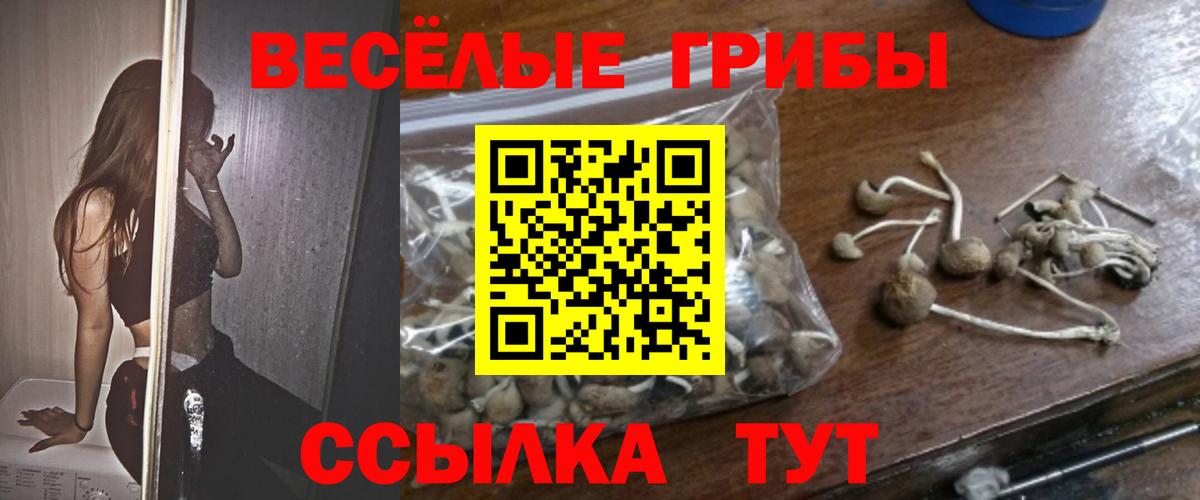 Псилоцибиновые грибы GOLDEN TEACHER  Вход с VPN  Верхняя Пышма 
